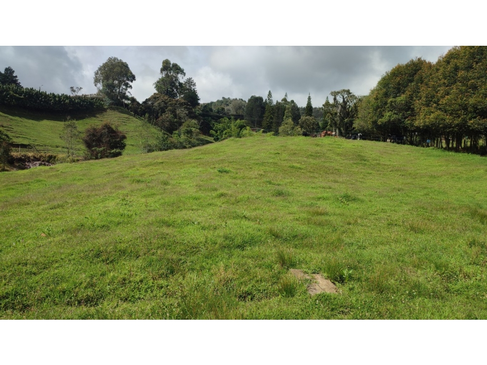 Vendo lote Rionegro Antioquia Rancherías aeropuerto.SM — foto 5