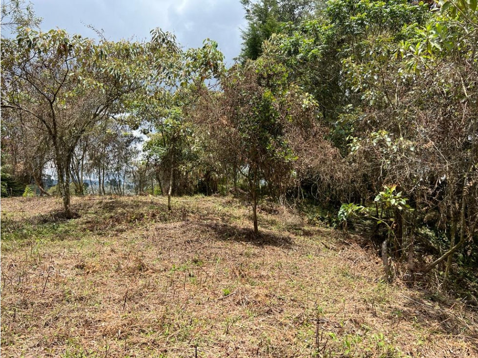 lote en venta Rionegro los pinos. 7,950 m2 #22 — foto 4