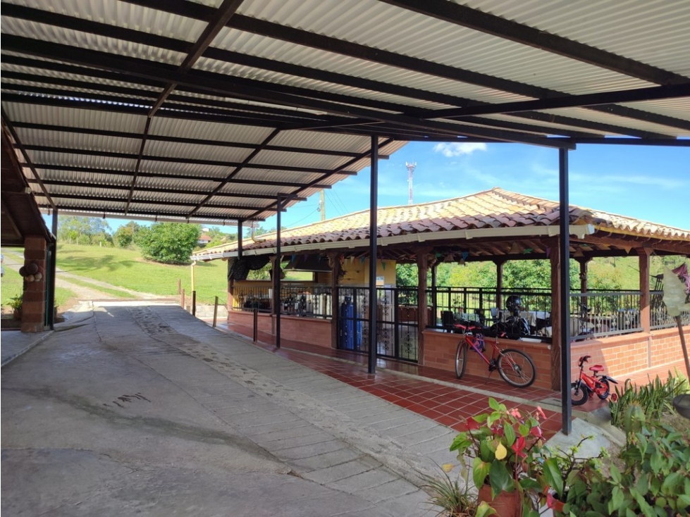 finca en venta Rionegro Antioquia con sembrado de Aguacate OR — foto 4