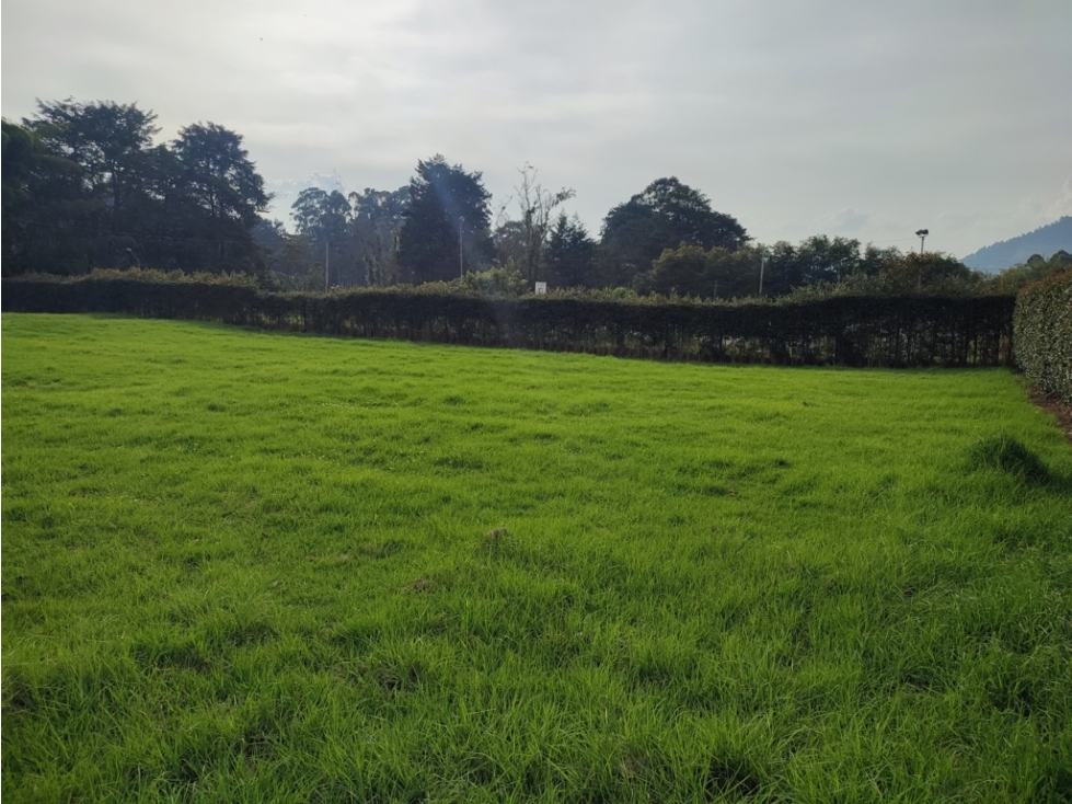 lote en venta la Ceja sector sector el yarumo reserva Silvestre LDC — foto 4