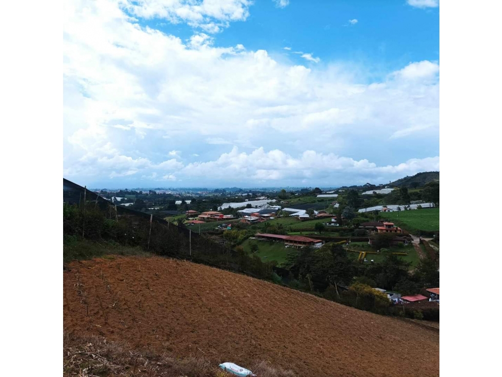 VENDO HERMOSA FINCA EN EL CARMEN DE VIBORAL 8.500 MTS CH — foto 4