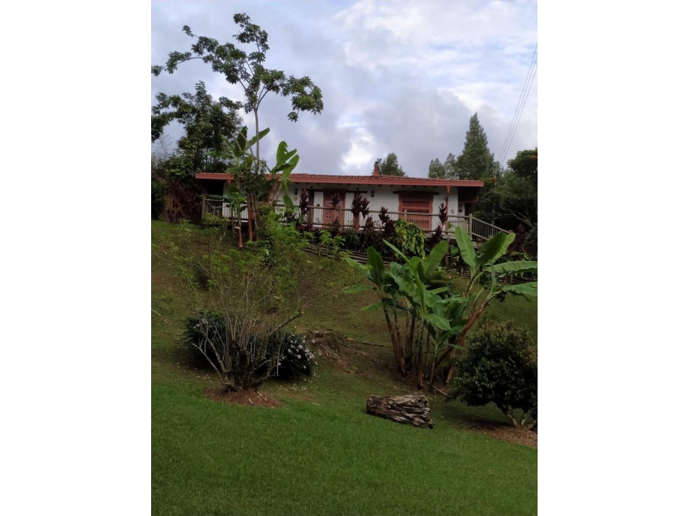 Vendo finca Rionegro sector el Carmin 2.8 H.A — foto 4