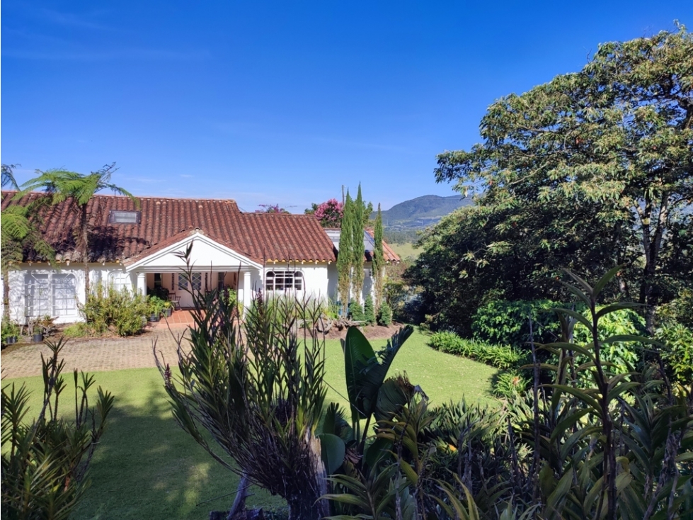 vendo finca Rionegro Antioquia sector capiro - santa Teresa 6.5 HA — foto 4