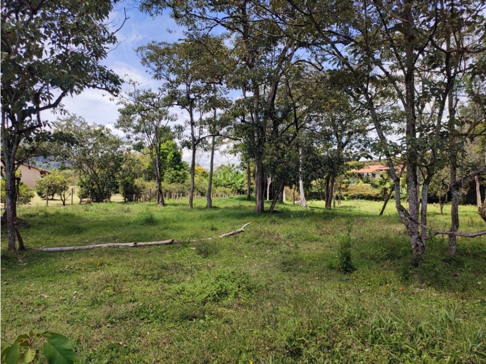 Lote Campestre de 10.959 m² en Venta | Parcelación El Yarumo | La Ceja — foto 6