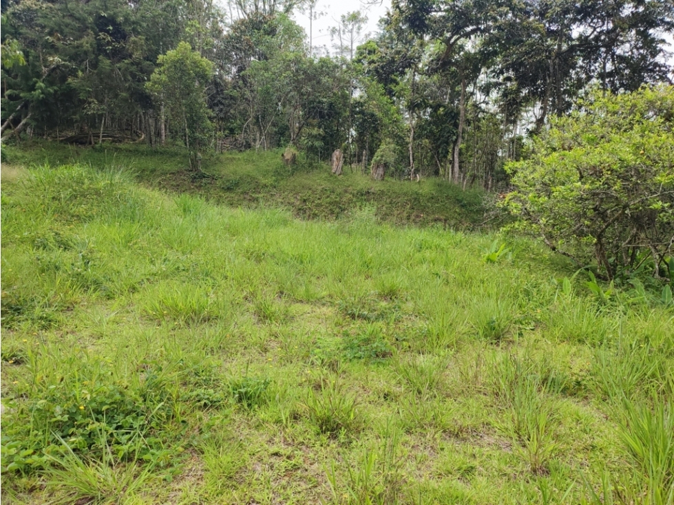 vendo lote, terreno en Guarne Antioquia 36.000 m2 — foto 4