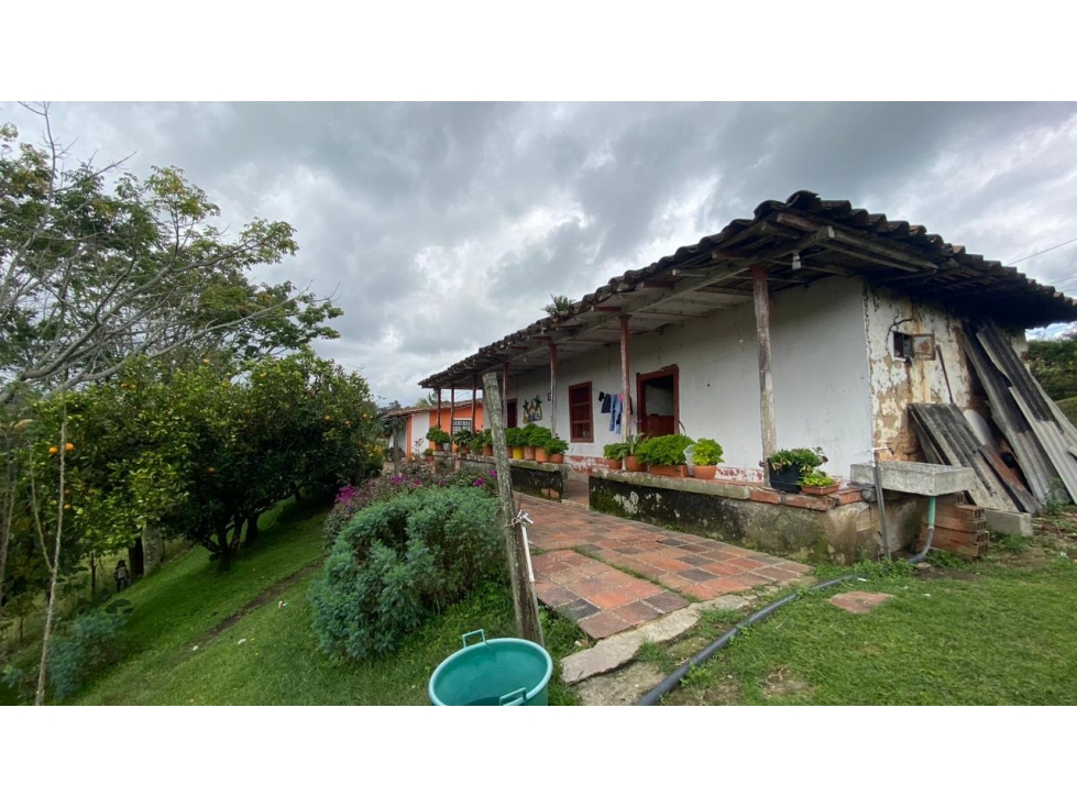 vendo casa finca Guarne Antioquia 16.782 m2. — foto 4