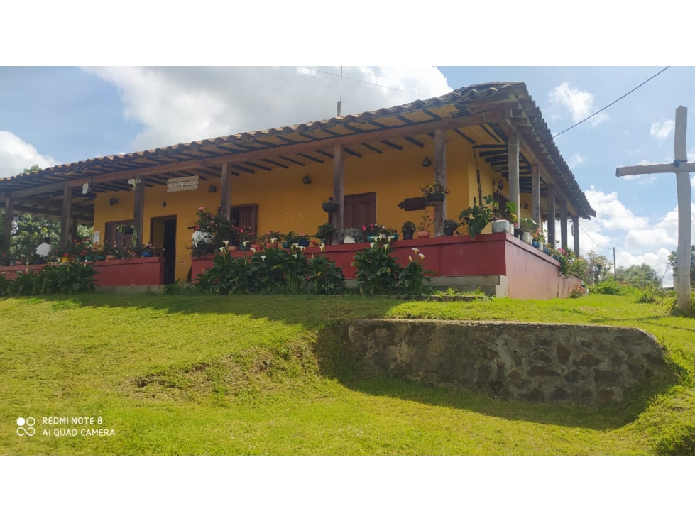 vendo finca productiva san vicente Ferrer Antioquia 93,4 hectareas — foto 3