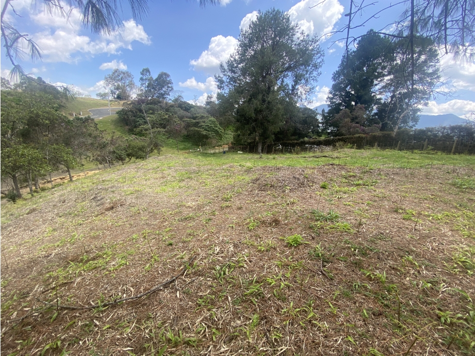 LOTE EN PARCELACIÓN VÍA SAN ANTONIO - LA CEJA SMG — foto 4