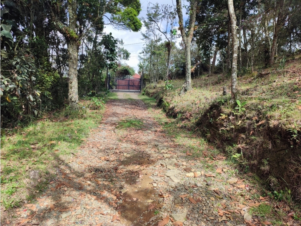 vendo casa finca Medellín, santa Elena 7.536 m2 — foto 4