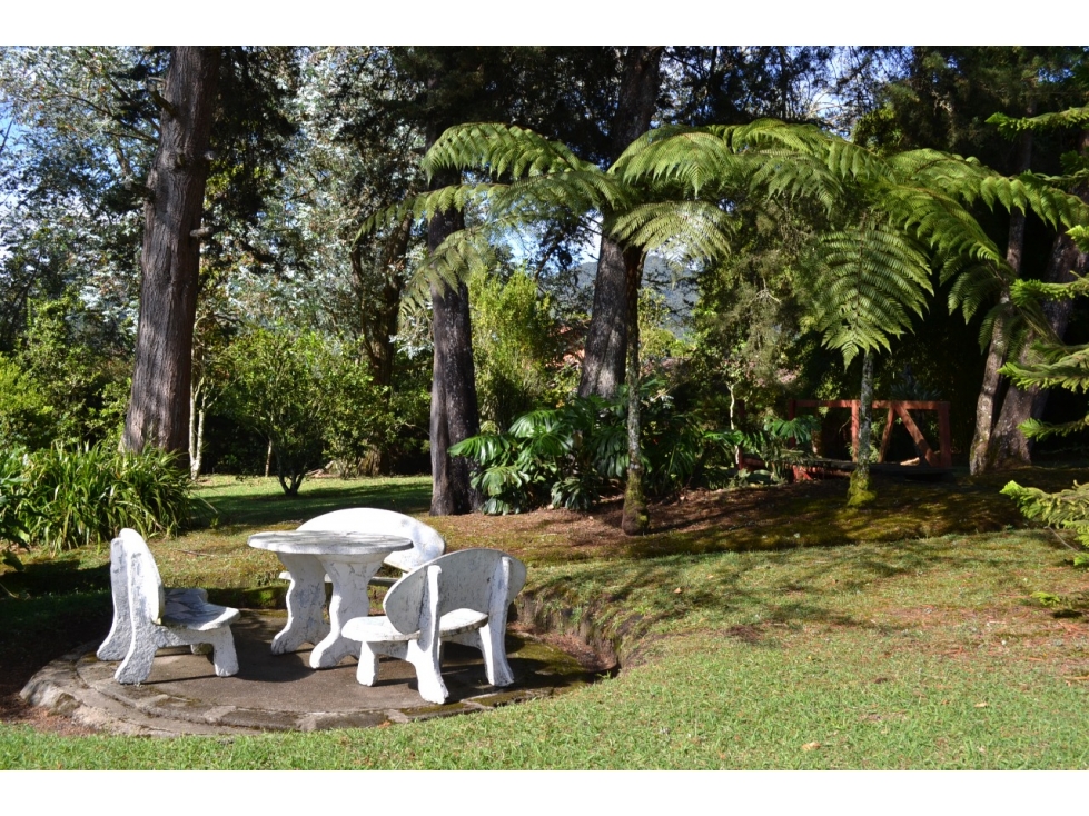 lote urbano en la Ceja Antioquia 10.000 m2 dearrollo recidencial — foto 4