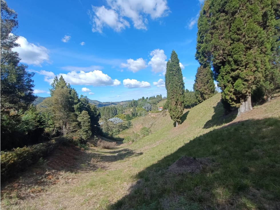 lote para venta Guarne sector hojas anchas 5558 m2 — foto 4