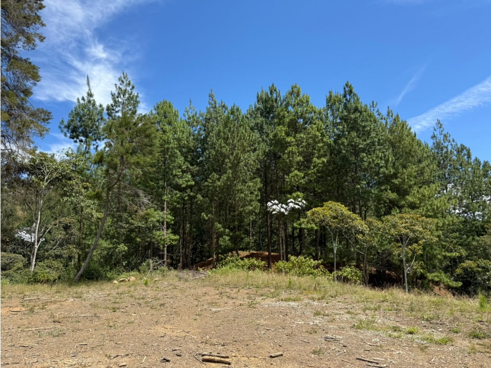 lote para venta el Retiro Antiquia unidad cerrada 2.847 m2 — foto 4