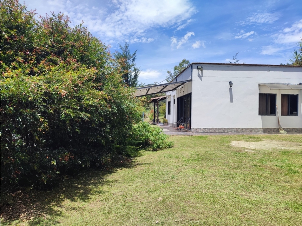 casa finca en venta Santuario, sector pantanillo. 5.000 m2 — foto 4