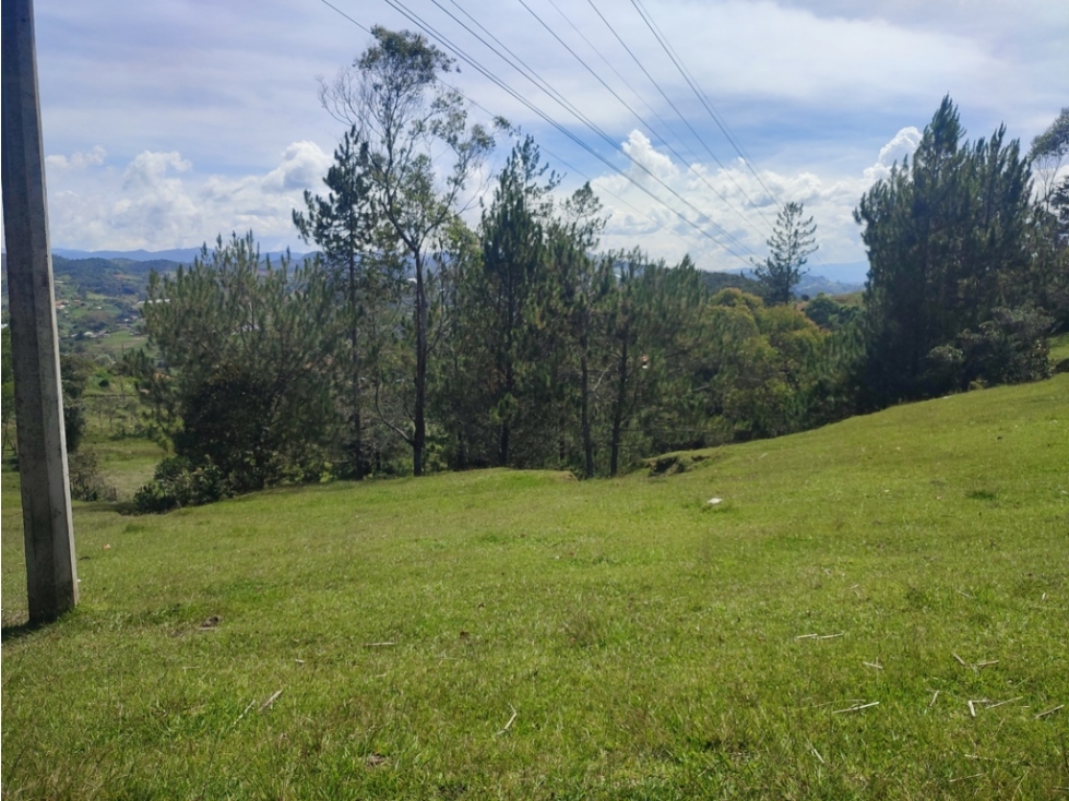 Lote con gran proyección en Santuario, rodeado de naturaleza JCIA — foto 5