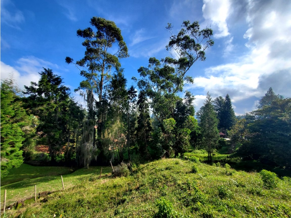 Lote en venta en Guarne Vereda La Hondita. 3.833 m2 LM — foto 4