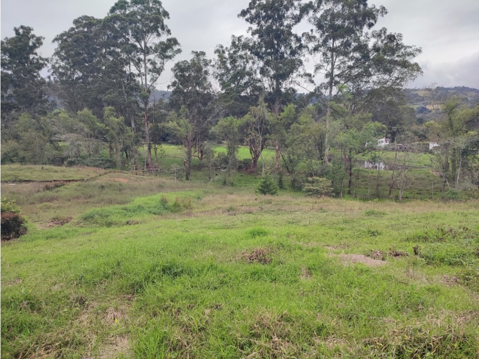 cabeceras de Llanogrande Natural & Exclusivo. Rionegro l5 — foto 4
