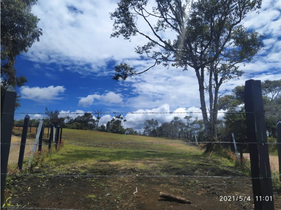 Lote Campestre en La Rivera Naturaleza y Ubicación Perfecta — foto 4