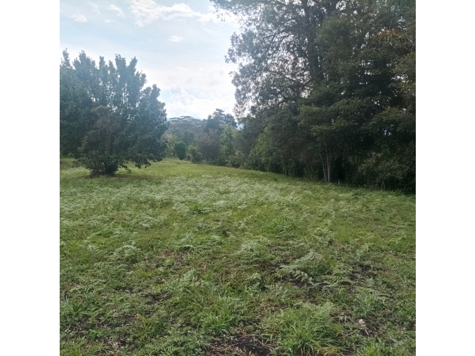 Exclusivos Lotes en Rionegro, Lotes Únicos en Vilachuaga en venta. — foto 4