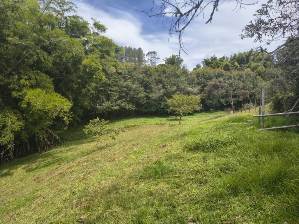 Lote en venta en Quirama El Carmen de Viboral Antioquia | 2.327 m² — foto 4
