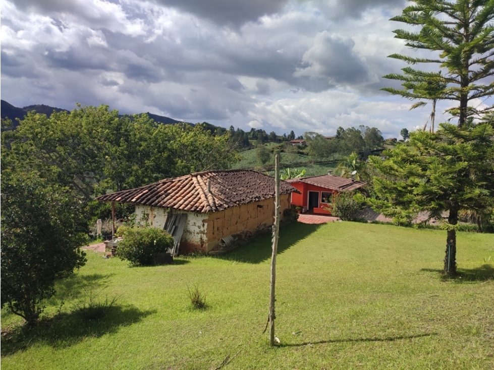 Finca Productiva en venta, Guarne 16.782 m² cerca a la autopista.