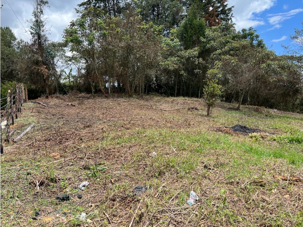 lote en venta Rionegro los pinos. 7,950 m2 #22 — foto 5