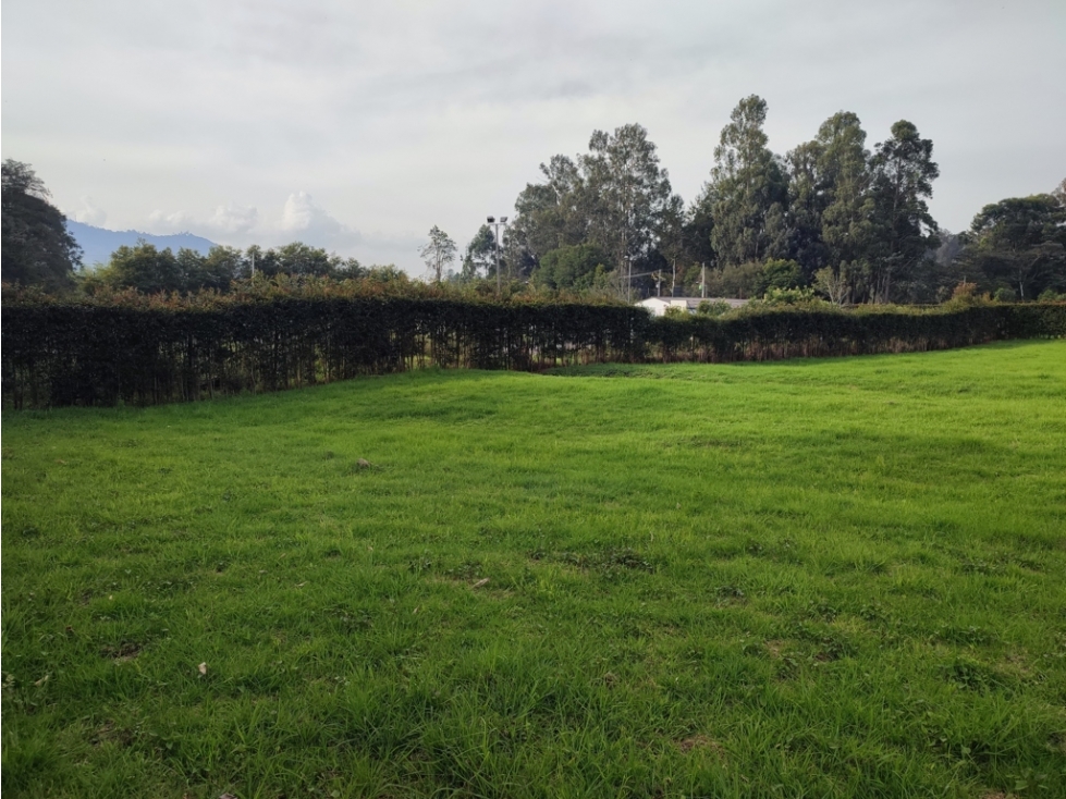 lote en venta la Ceja sector sector el yarumo reserva Silvestre LDC — foto 5