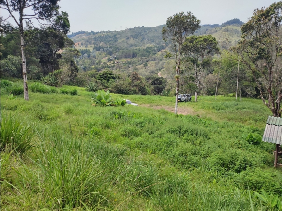 vendo lote, terreno en Guarne Antioquia 36.000 m2 — foto 5
