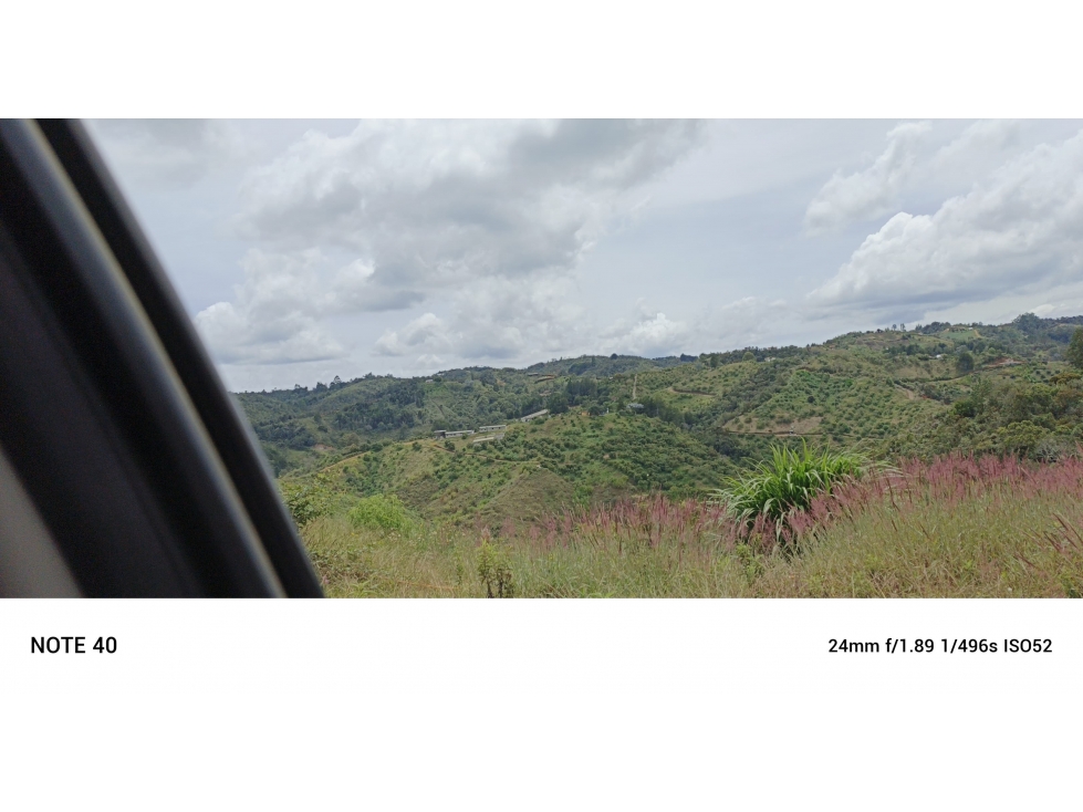 vendo finca productiva san vicente Ferrer Antioquia 93,4 hectareas — foto 4