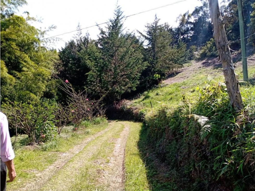 vendo finca Rionegro Antioquia, cerca a la zona Urbana — foto 5