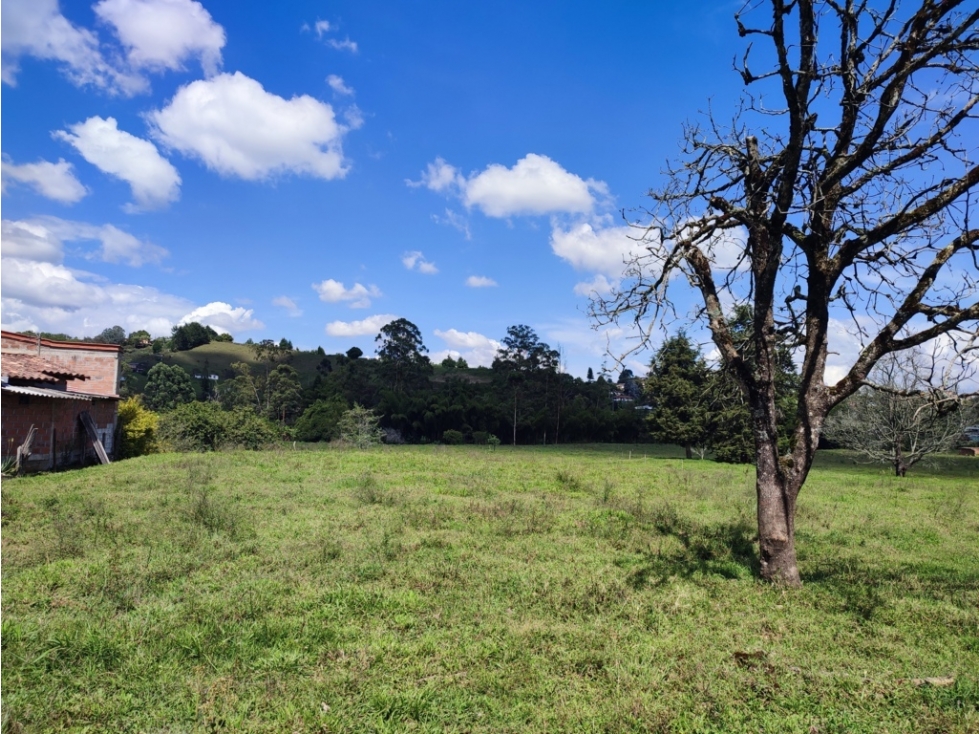 terreno industrial para venta Rionegro Antioquia 10 Hectáreas — foto 5
