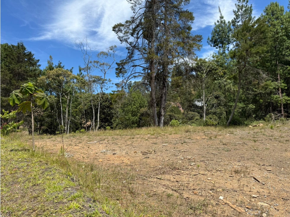 lote para venta el Retiro Antiquia unidad cerrada 2.847 m2 — foto 5