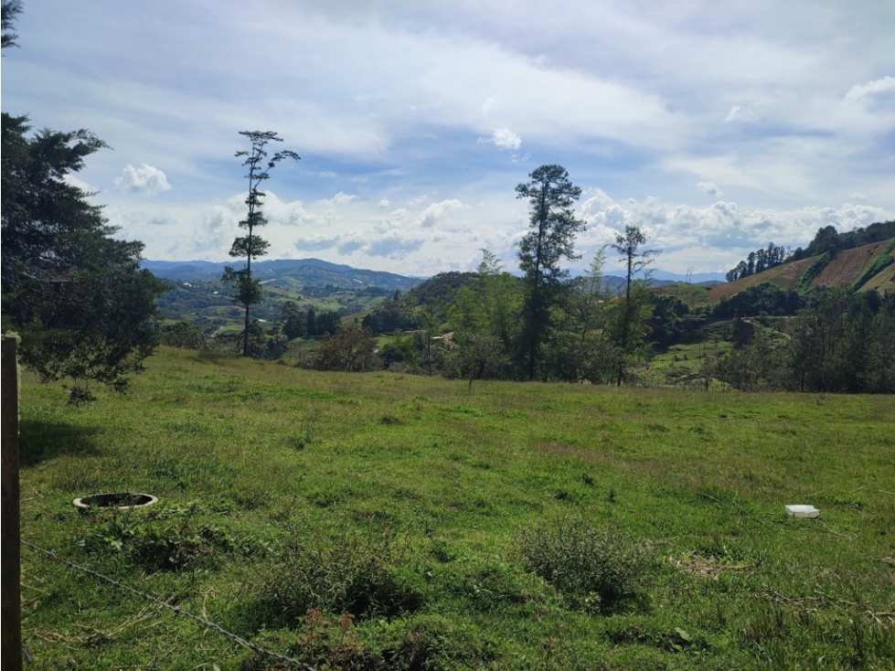 Lote con gran proyección en Santuario, rodeado de naturaleza JCIA — foto 6