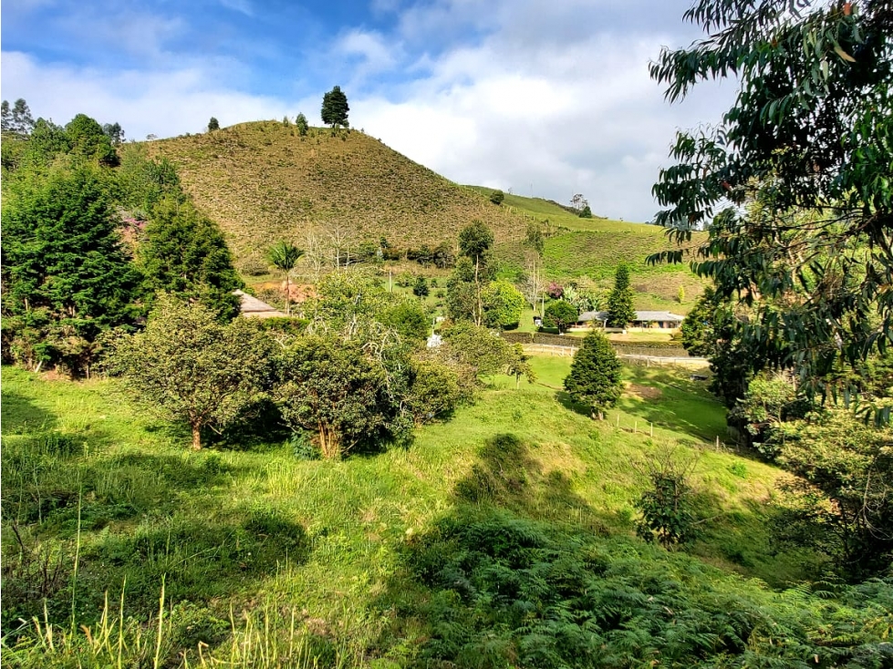 Lote en venta en Guarne Vereda La Hondita. 3.833 m2 LM — foto 5