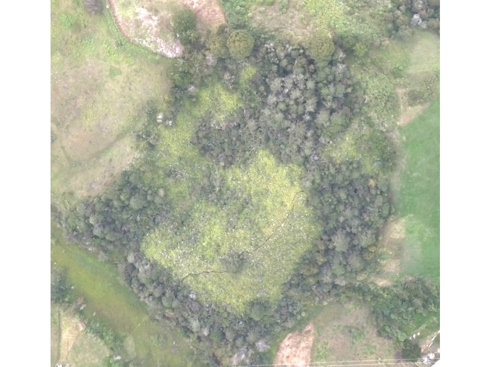 Eco Lote de 37.788 m² con Bosque y Nacimiento de Agua Marinilla — foto 5