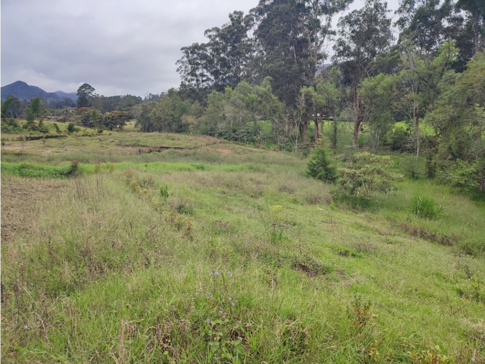 cabeceras de Llanogrande Natural & Exclusivo. Rionegro l5 — foto 5