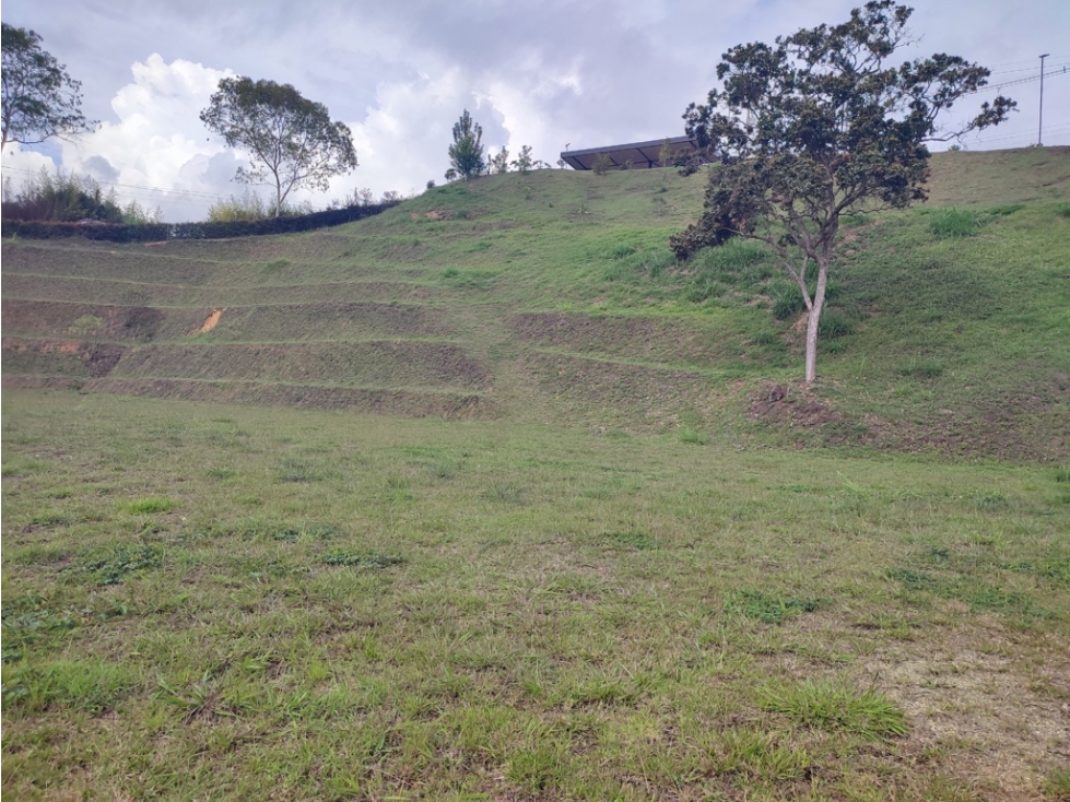 Lote en Venta en Rionegro | Exclusividad y Naturaleza — foto 5