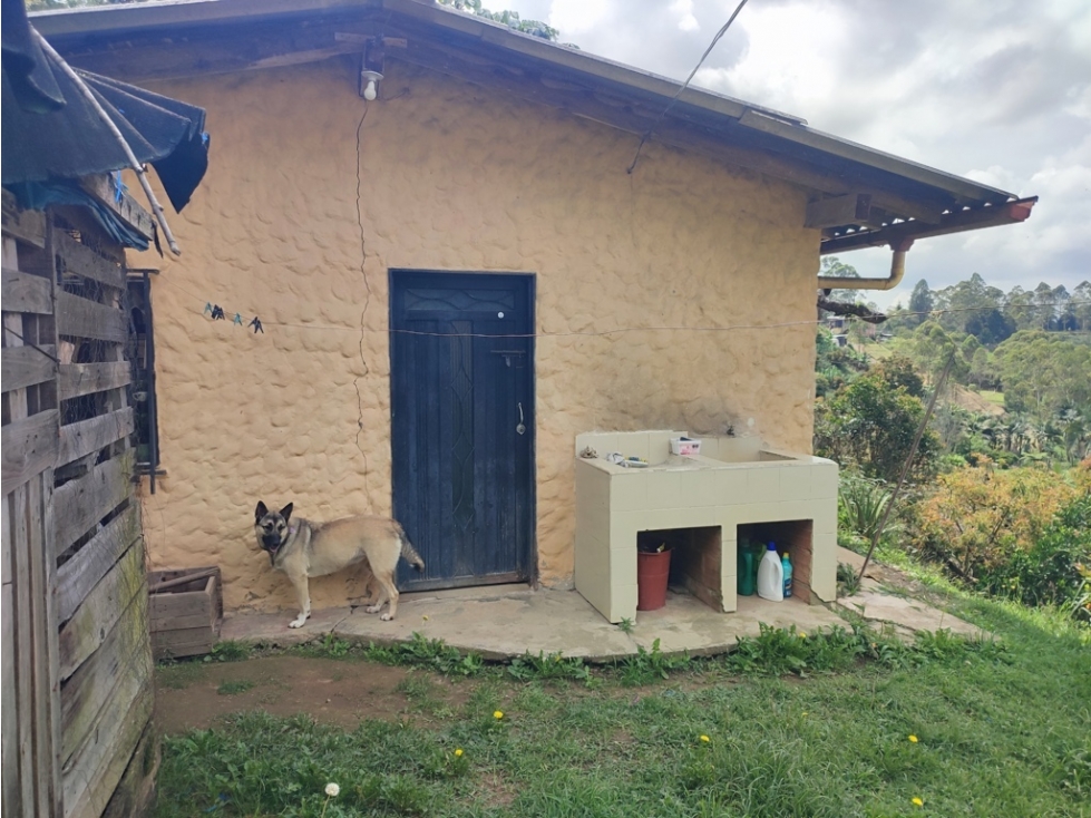 CASA FINCA CAMPESTRE EN VENTA EN RIONEGRO — foto 5