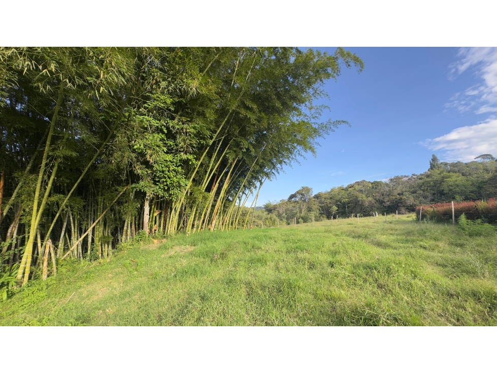 LOTE EN CONDOMINIO CAMPESTRE MARINILLA/SANTUARIO SMG — foto 5