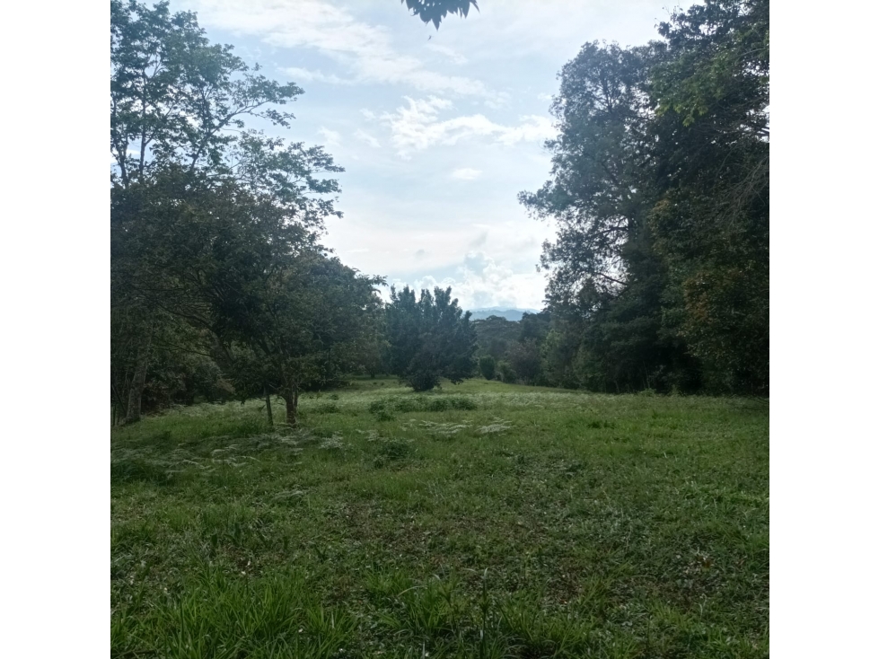 Exclusivos Lotes en Rionegro, Lotes Únicos en Vilachuaga en venta. — foto 5