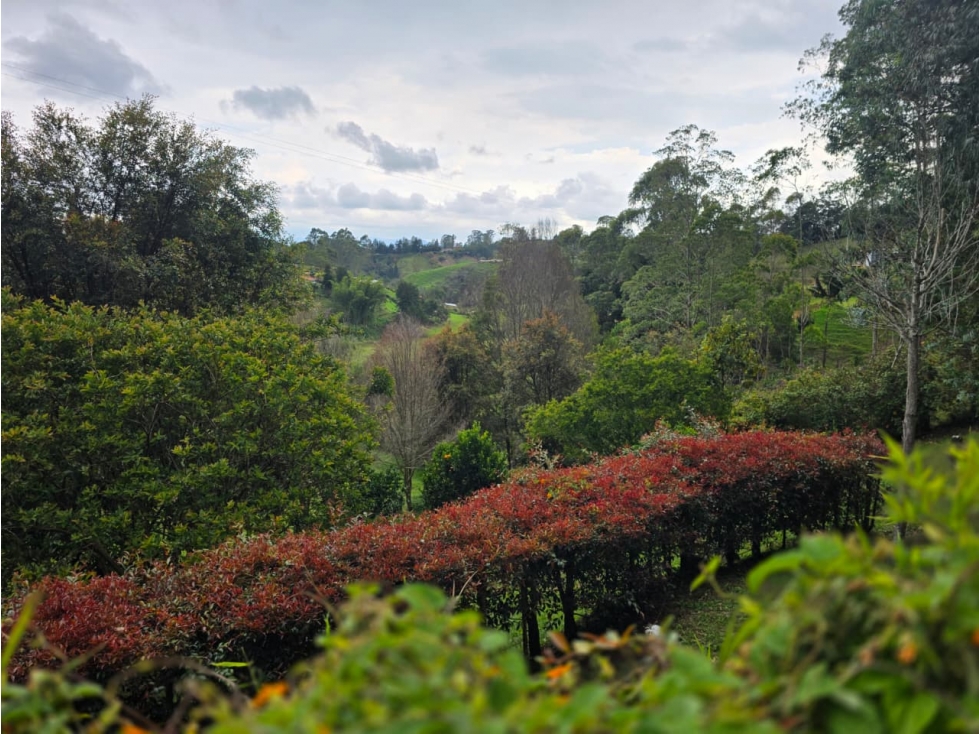 lote en venta vía Rionegro -san Vicente. 4.144 m² Construir tus Sueños — foto 6