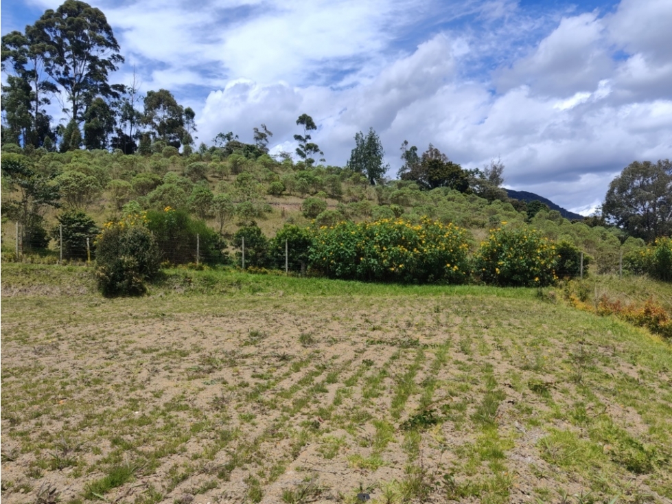 Lote Campestre en Venta La Ceja en Parcelación Exclusiva — foto 5