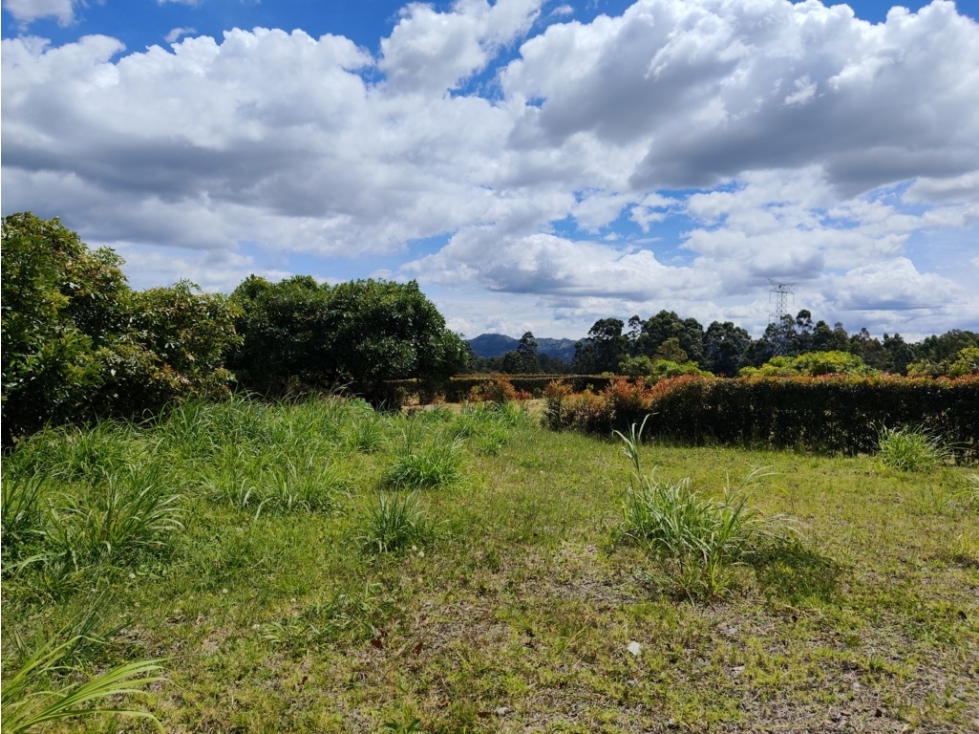 Lote Campestre de 2.309 m² en Venta La Ceja | Reserva Silvestre — foto 5