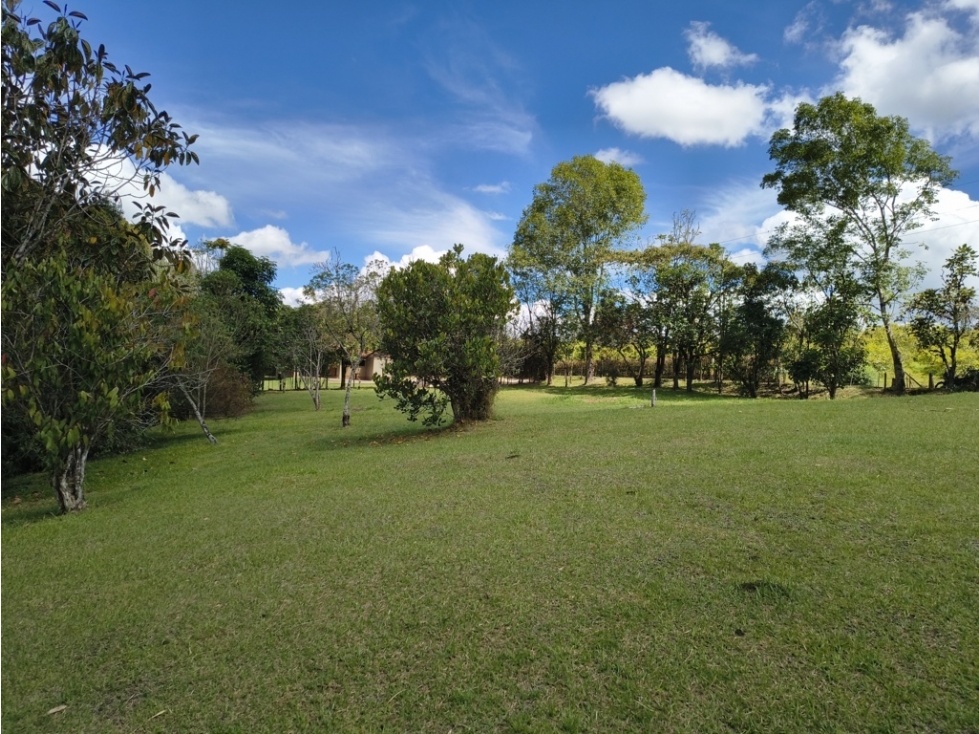 Lote Campestre en Venta en Llanogrande vilachuaga? Rionegro | 7.000 m² — foto 5