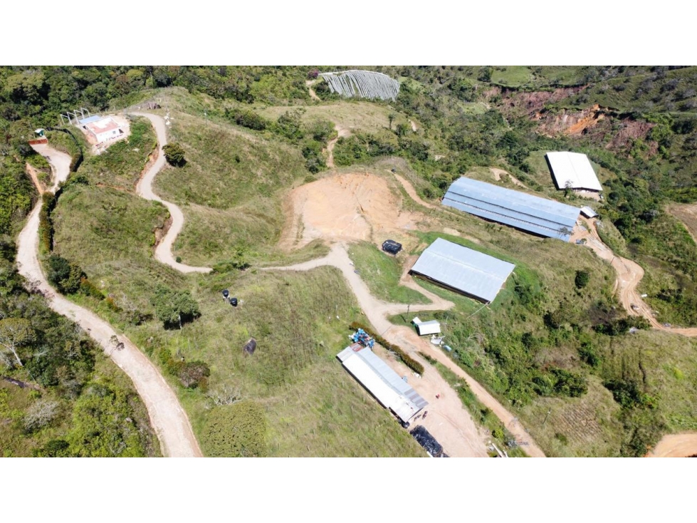 Finca productiva en venta en Granada Antioquia 27 hectáreas - 5