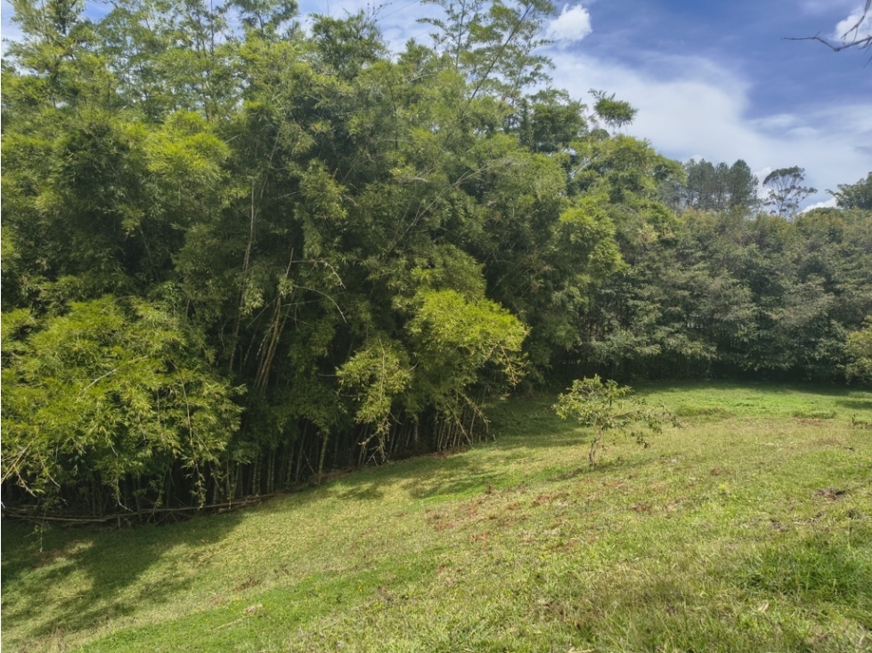 Lote en venta en Quirama El Carmen de Viboral Antioquia | 2.327 m² — foto 5