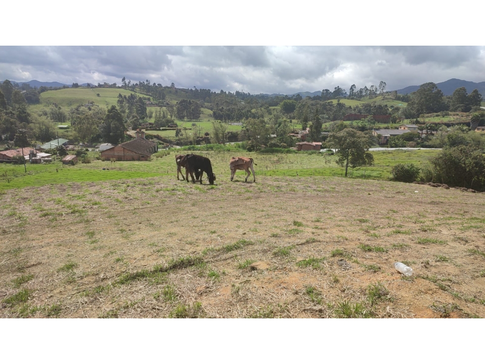 FINCA EN EL CARMEN 28.500 METROS USOS MULTIPLES 3.420 MILLONES