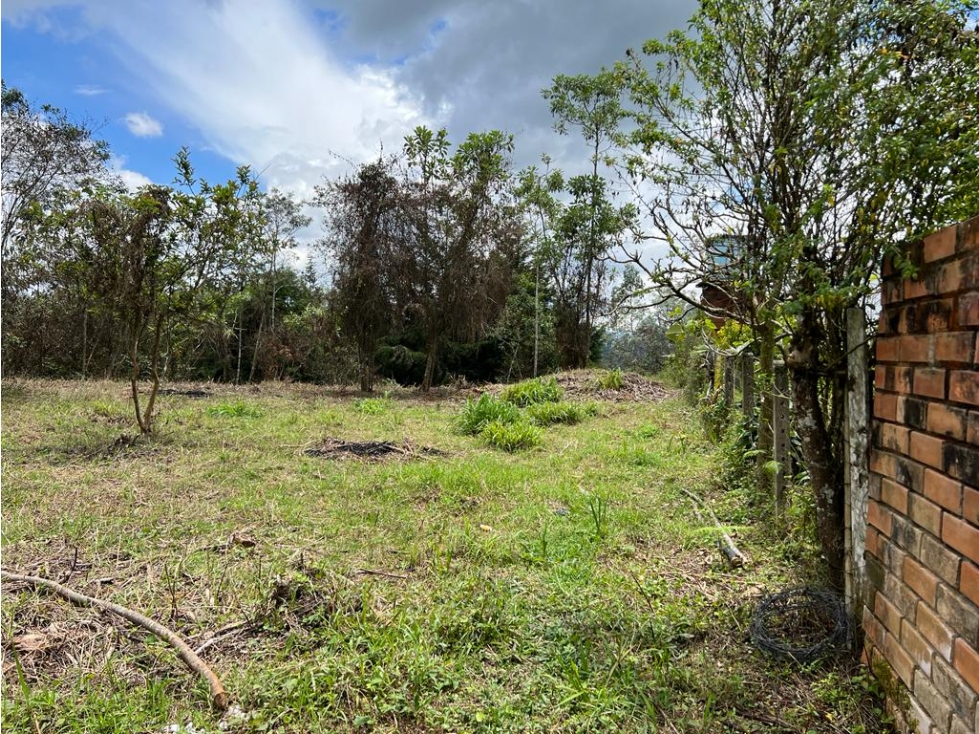 lote en venta Rionegro los pinos. 7,950 m2 #22 — foto 6