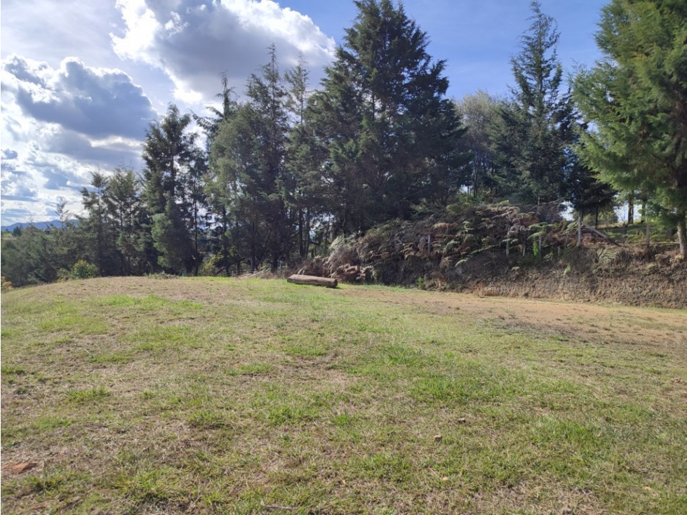 finca en venta Rionegro Antioquia con sembrado de Aguacate OR — foto 6
