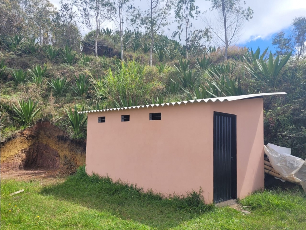 Finca en venta en San Vicente Ferrer 17,5 HA la Magdalena. — foto 5