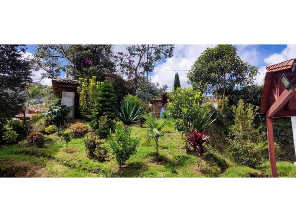 VENDO HERMOSA FINCA EN EL CARMEN DE VIBORAL 8.500 MTS CH — foto 6